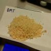 Dimethyltryptamine